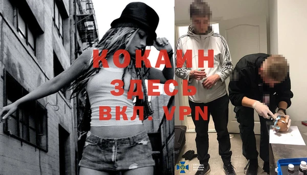 ALPHA-PVP Гусев