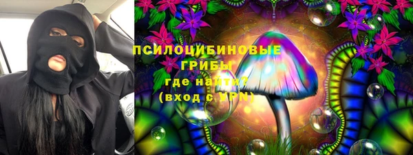стаф Гусиноозёрск