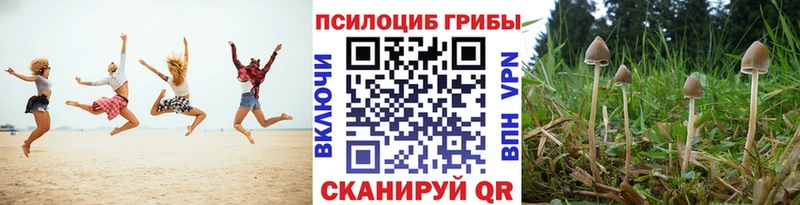 Галлюциногенные грибы Psilocybine cubensis  блэк спрут маркетплейс  Отрадная 